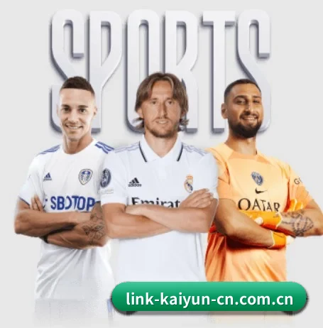Kaiyun APP 界面